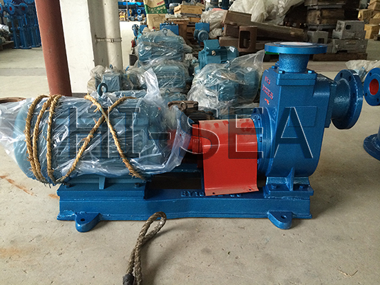 The Picture of CBZ Series Marine Horizontal Self-priming Centrifugal Pump 