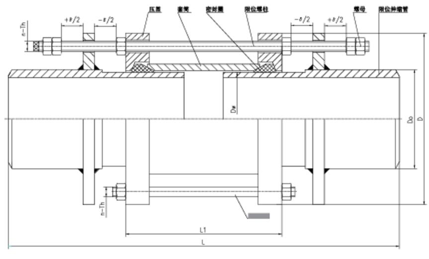 Gland Type Limited Expansion Joint