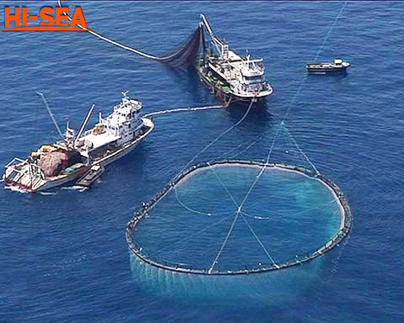 fishing net ( Purse seine net , fish farm net, trawl net)
